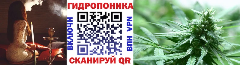 Конопля план  продажа наркотиков  Махачкала 